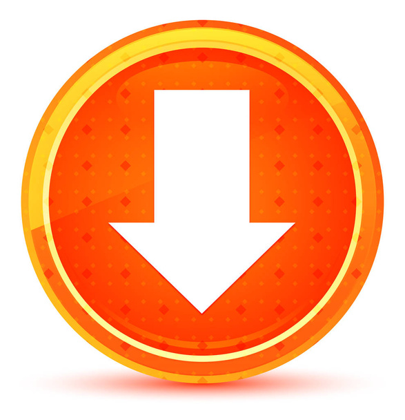 Download icon natural orange round button - Photo, Image