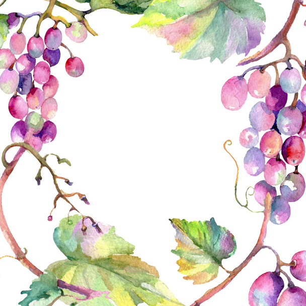 Grape berry healthy food. Watercolor background illustration set. Frame border ornament square. - Photo, Image