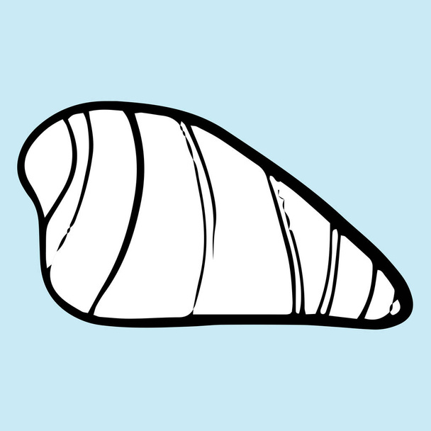 Seashell yaz vektör illüstrasyon  - Vektör, Görsel