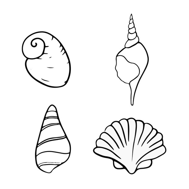 Seashell zomer vector illustratie  - Vector, afbeelding