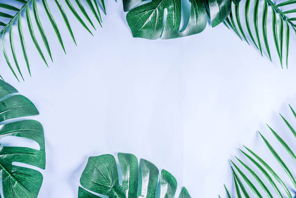 Tropical palm and monstera leaves background - Valokuva, kuva
