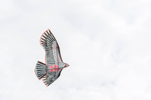 Kite flying into sky in the shape of an eagle. - Фото, зображення