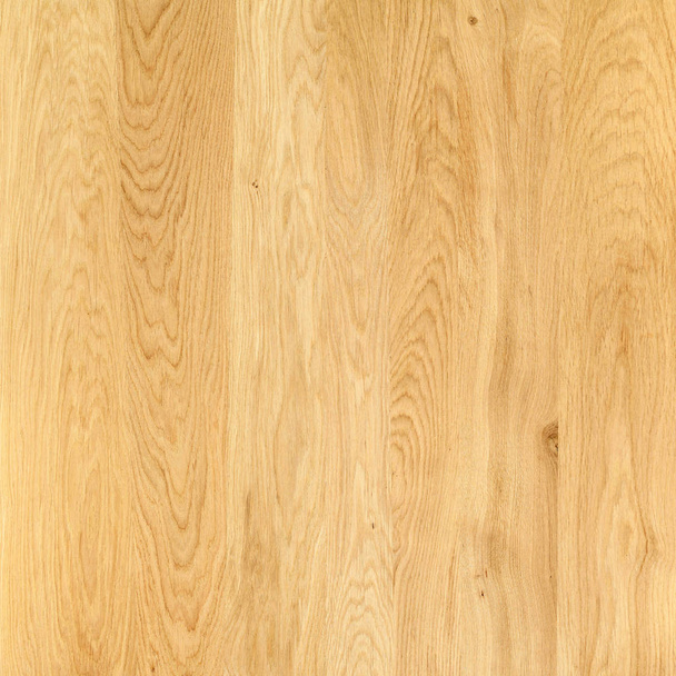 A fragment of a wooden panel hardwood. Oak. - Valokuva, kuva