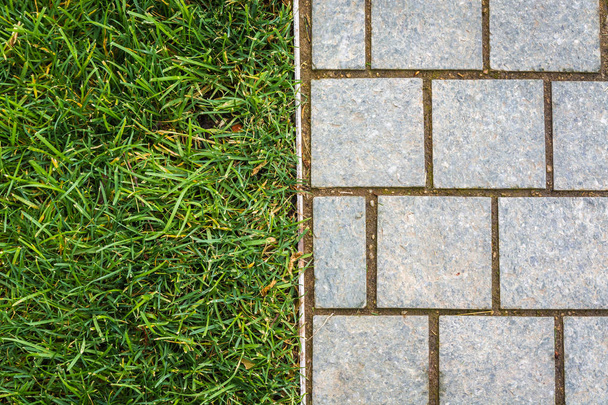 Square pavement tiles and green grass. The background - Fotografie, Obrázek