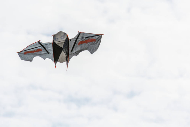 Beautiful bat shaped kite soars in the sky. - Фото, зображення