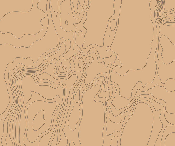 Топографическая карта рельефа Земли. Векторная иллюстрация
 . - Вектор,изображение