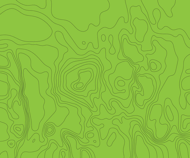 Topographic map on a green background. Vector illustration . - Vector, Image