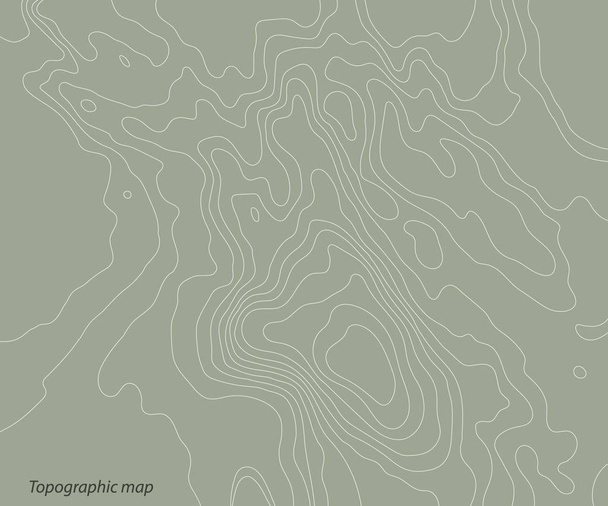 Topography relief map on a green background. Vector illustration . - Vector, Image