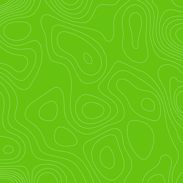 Mapa topográfico de líneas sobre fondo verde. Ilustración vectorial
 . - Vector, Imagen