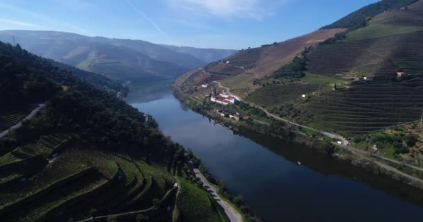 ドウロ渓谷とピニャオ、ポルトガルの村の近くの川でブドウの段々畑の航空写真ポルトガルの旅行、ポルトガルで最も美しい場所のための概念 - 映像、動画