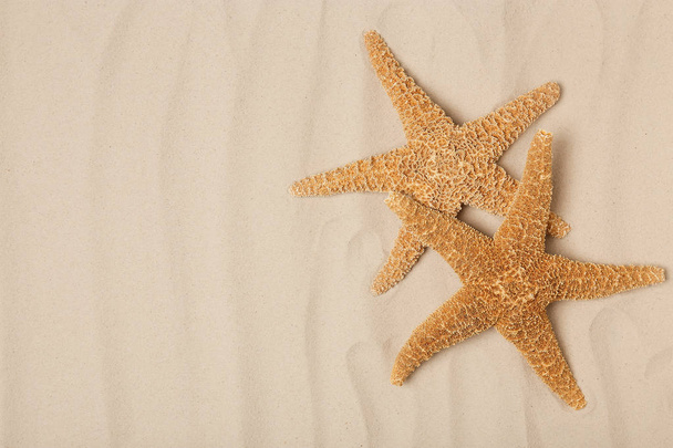 Starfishes on beach sand, top view with space for text - Foto, immagini