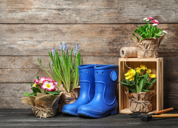 Composition with plants and gardening tools on table against wooden background - Photo, image