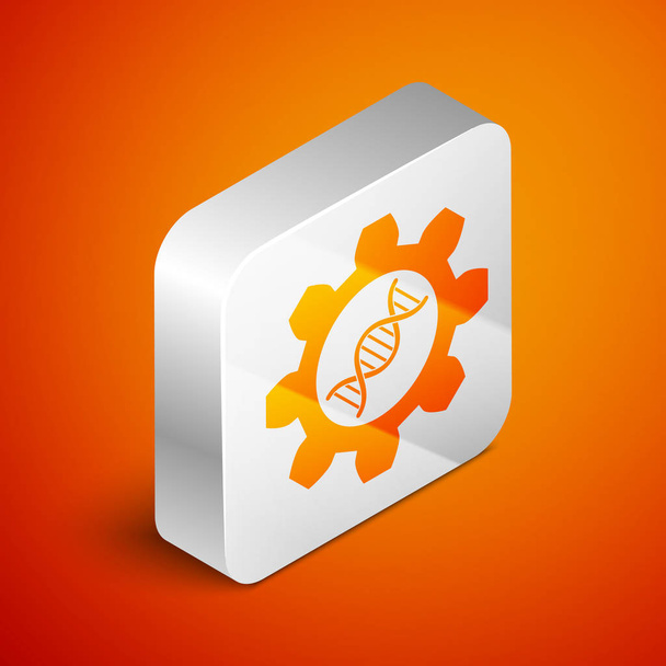 Icono de ingeniería genética isométrica aislado sobre fondo naranja. Análisis de ADN, pruebas genéticas, clonación, pruebas de paternidad. Botón cuadrado plateado. Ilustración vectorial
 - Vector, imagen