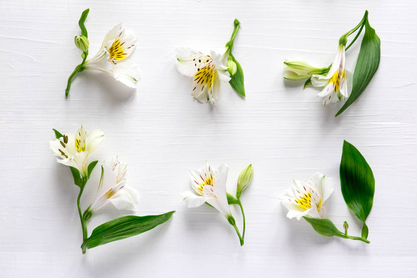 Modèle de fleurs naturelles blanches Alstroemeria sur un fond en bois blanc. Motif floral. Fleurs roses d'Alstroemeria sur fond blanc. Couché plat, vue du dessus
. - Photo, image