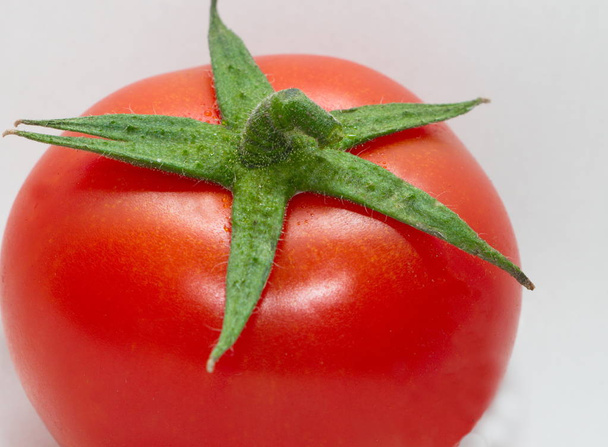 温室で栽培されるアプシェロントマト - 写真・画像