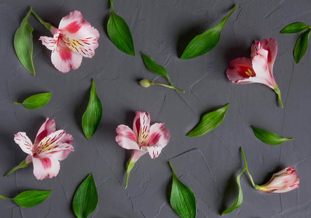 Φωτογραφία από ροζ λουλούδια σε γκρίζο φόντο. Μοτίβο με φυσικά λουλούδια σε ξύλινο φόντο. Επίπεδη όψη, κορυφή θέα. - Φωτογραφία, εικόνα