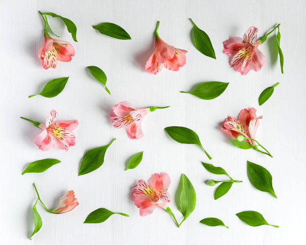 Pattern of natural pink flowers Alstroemeria on a white wooden background. Floral pattern. Pink flowers of Alstroemeria on a white background. Flat lay, top view. - Zdjęcie, obraz