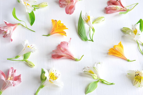 Pattern of natural flowers Alstroemeria on a white wooden background. Floral pattern. Pink, white and yellow flowers of Alstroemeria on a white background. Flat lay, top view. - Fotografie, Obrázek