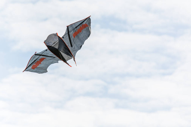 A beautiful bat shaped kite is flying in the clouds. - Фото, зображення