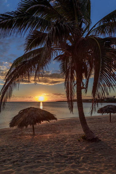 Rancho Luna Caribbean Beach met palmen en stro umrellas op de - Foto, afbeelding