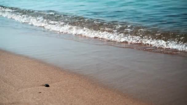 Zeewater langzaam spatten op een strand - Video