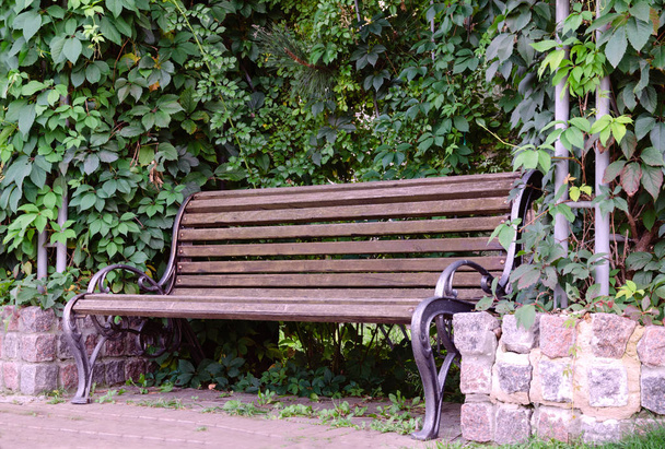 wooden bench for rest a warm day in the park - Photo, Image