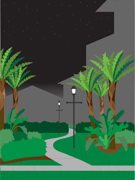 Пішохідна стежка вночі
 - Вектор, зображення