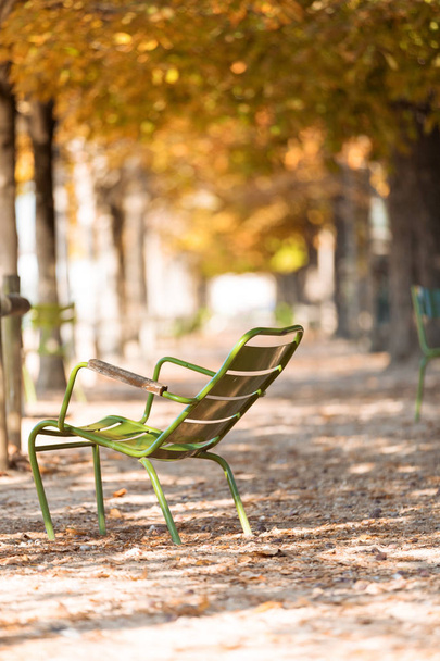 green chair in autumn park with trees  - Φωτογραφία, εικόνα