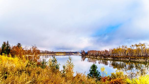 Осенние цвета вокруг реки Северный Томпсон между Барриер и Клируотер, Британская Колумбия, Канада
 - Фото, изображение