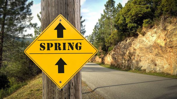 Straßenschild zum Frühling - Foto, Bild