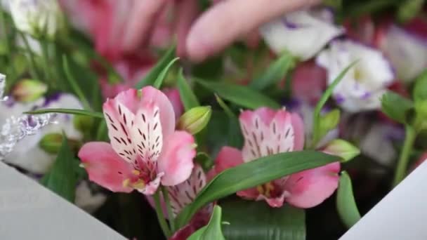 Bloemist regelt verse Alstroemeria bloemen in bloemenwinkel. Close-up. - Video