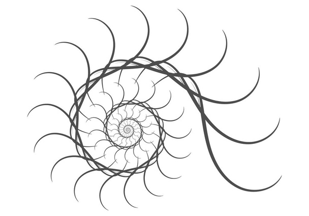 Spiraal vector ontwerpelementen. Abstracte lijnen zwart en wit. S - Vector, afbeelding