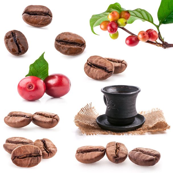 Kollektionen von gerösteten und roten Kaffeebohnen - Foto, Bild