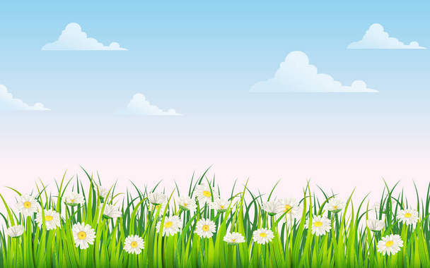 Frühlingsblumen von Gänseblümchen, Kamille und grünem saftigen Gras, Wiese, blauer Himmel, weiße Wolken. Vektor, Illustration, isoliert, Vorlage, Banner, Flyer - Vektor, Bild