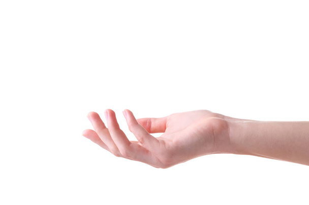 Female hand gesture isolated on a white background - Foto, immagini