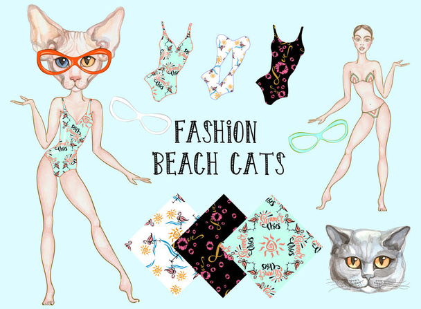 Moda di spiaggia di un gatto. Set di costumi da bagno e dettagli di design
. - Vettoriali, immagini