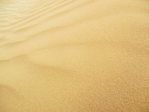 Sand dunes in Sahara desert - Fotoğraf, Görsel
