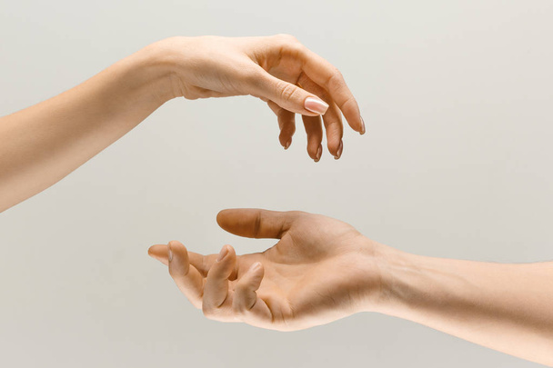 Male and female hands demonstrating a gesture of getting touch isolated on gray background - Fotó, kép