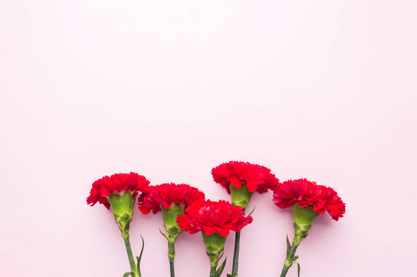 Red carnations on pink background with copy space. Mother's Day card, Valentine's day. - Φωτογραφία, εικόνα