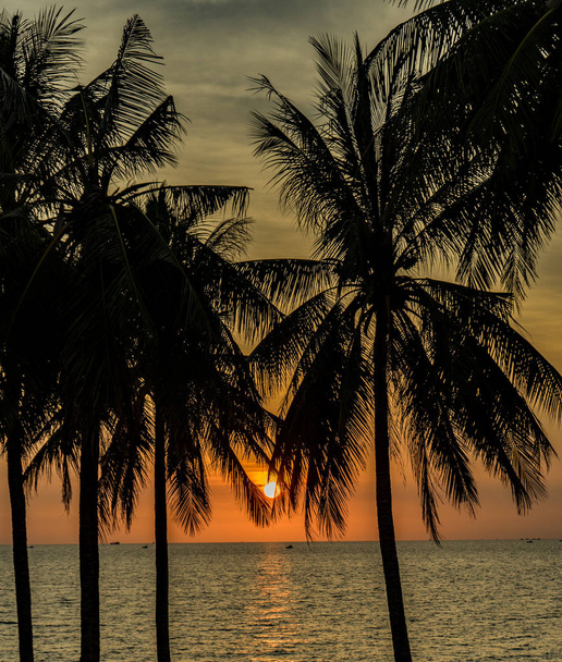 Paisaje del paraíso tropical Phu Quoc playa isla, toma del sol
 - Foto, imagen