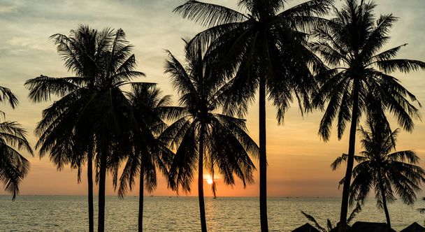 Paisaje del paraíso tropical Phu Quoc playa isla, toma del sol
 - Foto, imagen