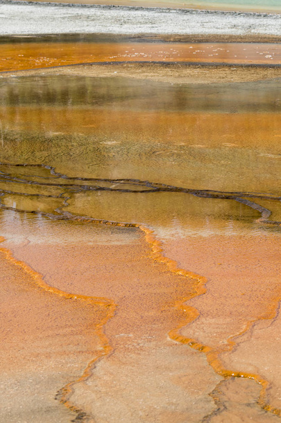 Geyser in grand prismatic spring Basin in Yellowstone National Park in Wyoming - Photo, Image