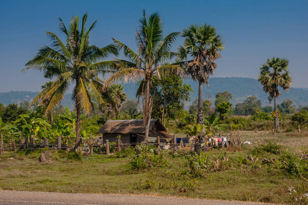 Типовий сільський житловий в провінції Сієм Ріп, Камбоджа - Фото, зображення