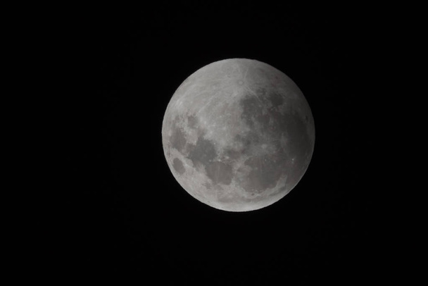 Kanlı ay, tutulma dan görüldü, La Pampa, Ocak 21, 2019  - Fotoğraf, Görsel