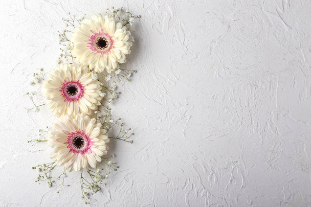 Hermosas flores sobre fondo blanco texturizado
 - Foto, Imagen