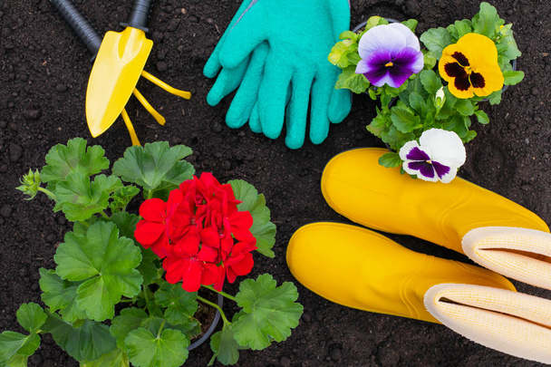 Gardening tools - top view - Foto, immagini