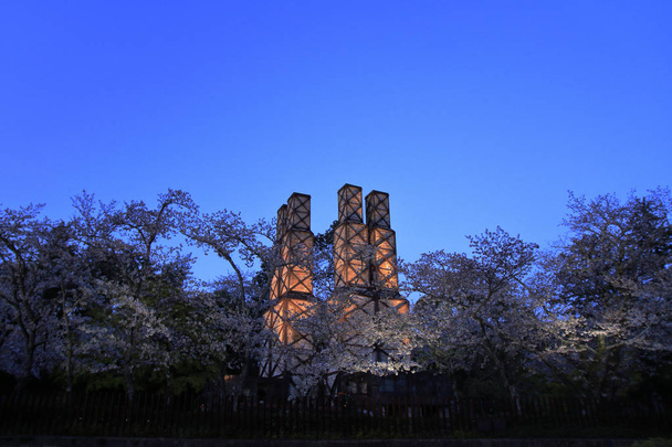 Nirayama-jälkipolttouunit ja kirsikankukat Izussa, Shizuokassa, Japanissa (yökohtaus
) - Valokuva, kuva