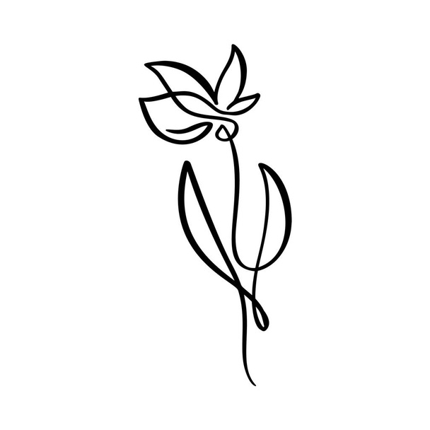 Continuous line hand drawing calligraphic vector flower concept logo beauty. Scandinavian spring floral design element in minimal style. black and white - ベクター画像