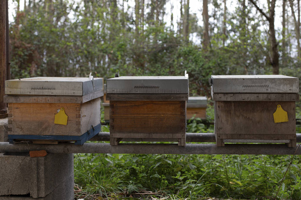 Alguns apicultores Colmeias (Colmeias artificiais
)  - Foto, Imagem