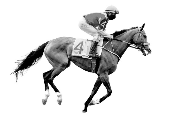 jockey cavalo de corrida cavalo isolado no fundo branco
 - Foto, Imagem